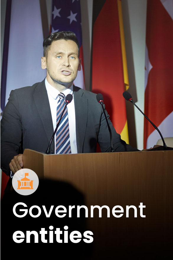 Government entities